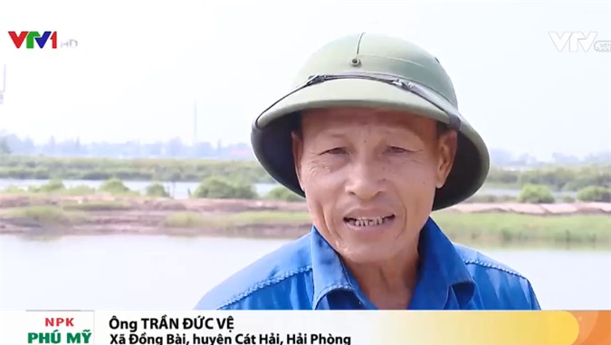 Những 'nông dân không đất' tại Cát Hải phản ánh sự việc với Đài truyền hình Việt Nam (VTV)
